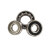 6009-2RS1-C4-SKF