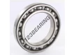 6020-SKF