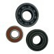 6200-2RS-VT250-280