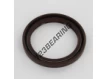 ASP-50X65X7-FPM