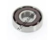 B017-SKF
