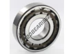 N309-ECP-SKF
