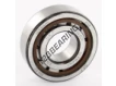 NJ204-ECP-SKF