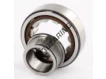 NJ204-ECP-SKF