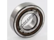 NJ205-ECP-C3-SKF