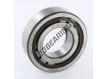 NUP2208-ECP-SKF