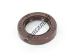 OA-128X158X20-FPM
