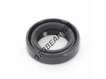 OAS-12X19X5-NBR