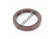 OAS-55X72X10-FPM